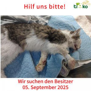Fundtiere FB(71)